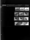 Stokes Feature (12 Negatives) (April 23, 1964) [Sleeve 104, Folder d, Box 32]